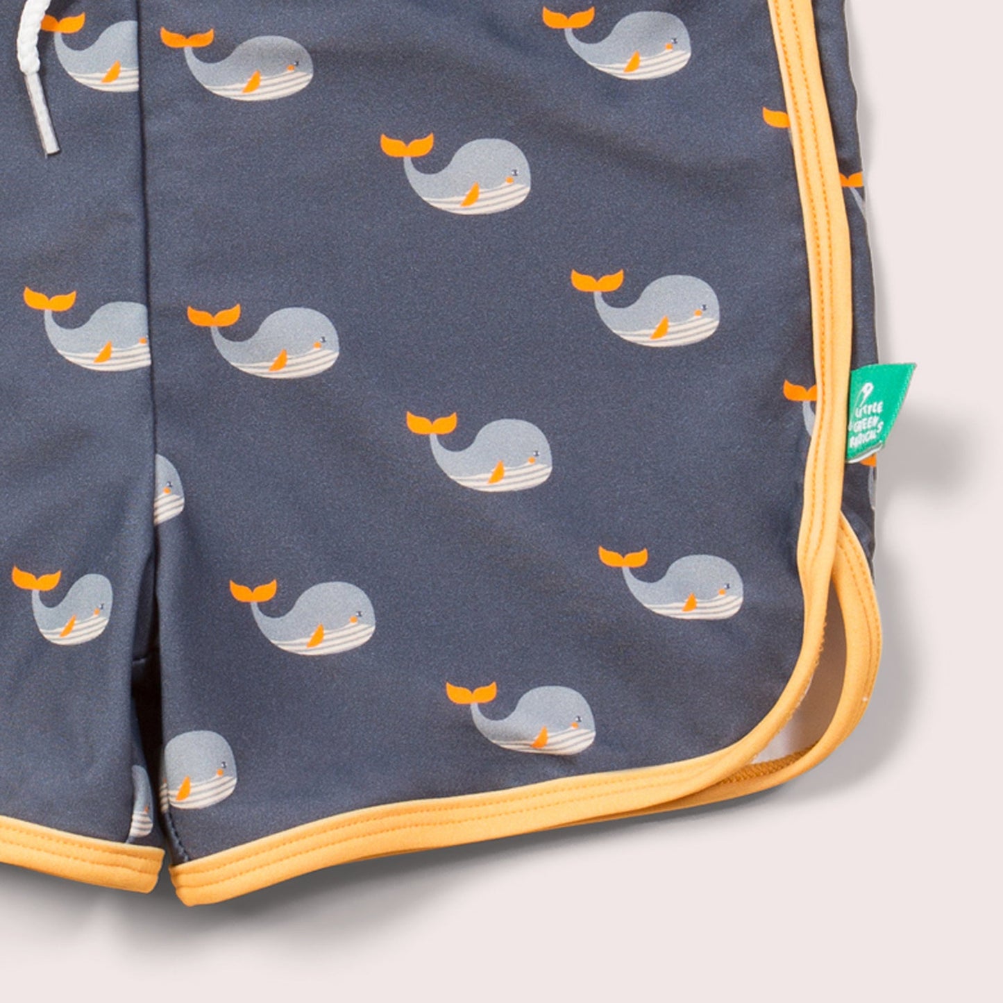 LGR Whale Song Recycled Swim Shorts