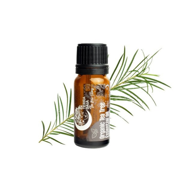 Terra Gaia Organic Tea Tree Essential Oil – B-eco-me