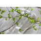 Puppi Organic Cotton Insert