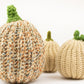 WYS The Croft DK - Pumpkin Patch Crochet Pumpkin Patterns (Download)